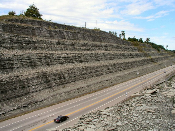 RoadCutCincinnatiL Read Cut near Cincinnati. Most of these rocks are fulls of fossils.