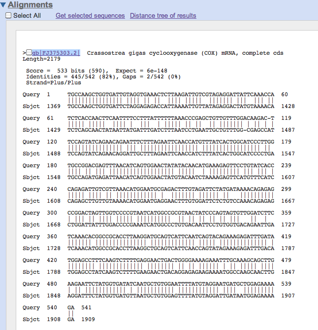 Alignment of two sequences of the same gene from two species of oysters.  Notice the 