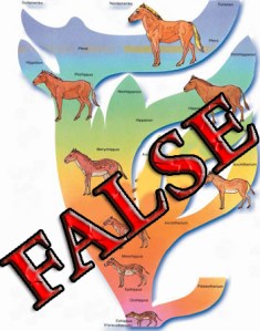 Typical figure showing claiming the horse series is a lie. In this case the author Harun Yahya has no use for any ancestry at all claiming that "????????? Image from: http://harunyahya.com/en/Evolution-Dictionary/16366/eohippus
