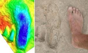 This is a human fossil footprint from Ileret, Kenya.  This footprint is widely accepted as an authentic footprint fossil  (center) beside a foot (right) and color-contoured 3D laser scan image (left) of the print.  This fossil was found in relatively young rock that is thought to have formed from a volcanic ash event after which someone walked across the new ash prior to its preservation. (Credit: Brian Richmond/George Washington University)