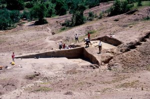 The dig site where these bones and artifacts have been found over the past decade of research at this site. 