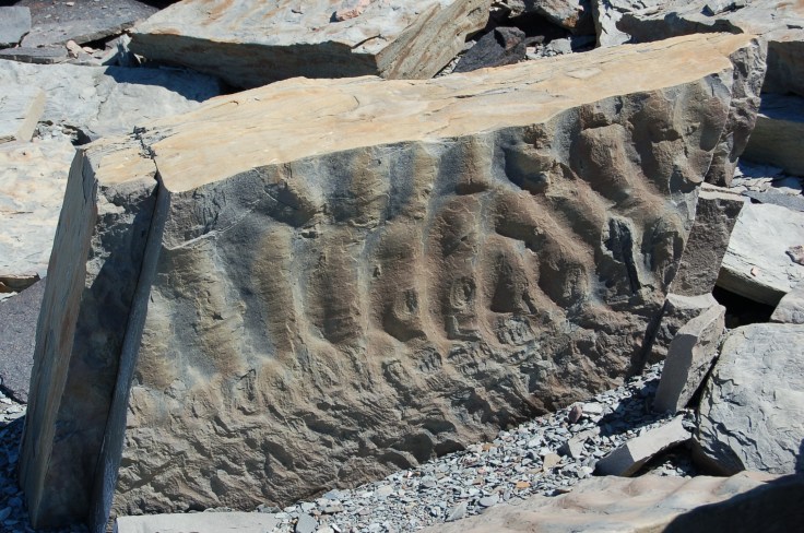Here is a block of rock with clear ripple marks providing evidence there was once an ancient shore here.   Image credit: Joel Duff