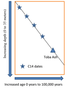 Generalized cartoon graph of the relationship between the age of sediments and their depths in cores from the middle of lake Malawi in Africa.  The slope of the line drawn through the radiometric dates predicts the rate of sediment deposition each year.  Following the line down through where the Toba ash is found in the column finds that the Toba ash is predicted to be 70 to 80 thousand years old which is in the range it has been dated in other locations.