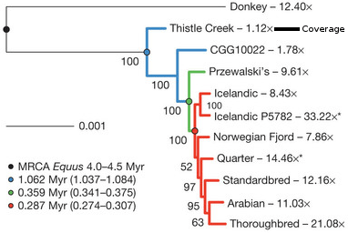 Similarity of horse genomic sequence including the Thistle Creek (Alaska) fossil bone sequence. 