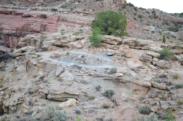 Another view of the dinosaur trail from across the small valley.  Photo Credit: Joel Duff