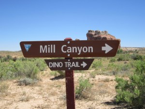 Sign to the Mill Canyon dino trail on Mill Canyon road.   I didn't think to take a picture of the sign.  Photo credit: http://www.exhibitfiles.org/mill_canyon_dinosaur_trail2