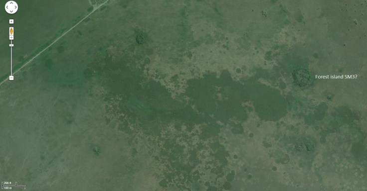 Screenshot of Google maps showing the possible identification of forest island SM3 from Bolivia.  