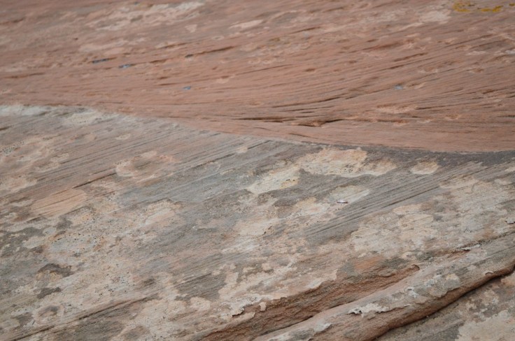 Another example of sediment layering that suggests these were sand dunes that have "fossilized". This one is from the base of Looking Glass Arch about 20 miles south of Moab UT.  Image Credit: Joel Duff