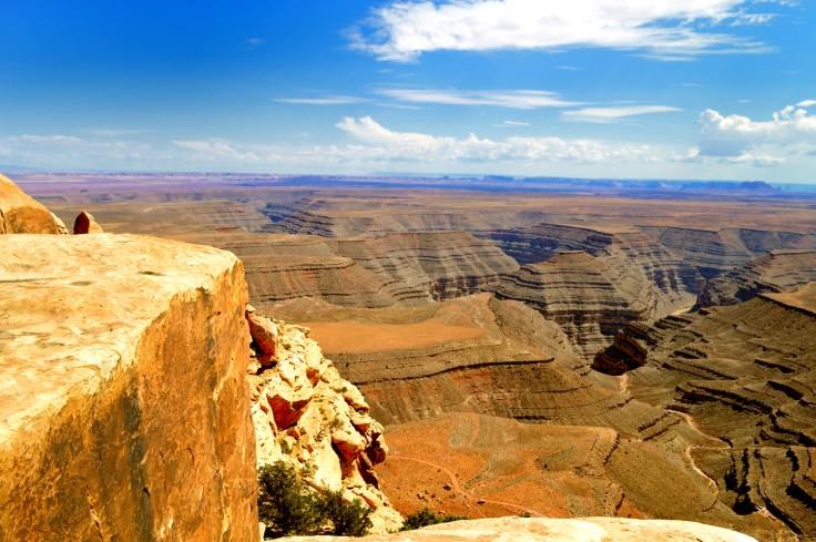 At Muley Overlook which looks out over the Goosenecks of the San Juan River. Almost all of these layers of rock are sitting below the layers of rock that contain the dinosaurs on the dinosaur trail near Moab Utah.  Photo Credit: Joel Duff