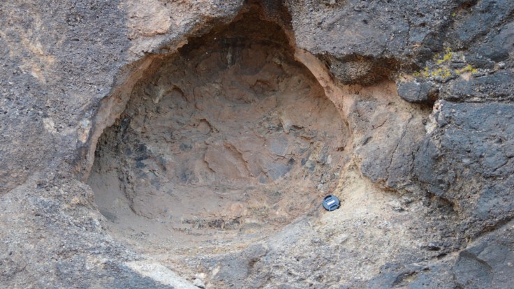 A large petrified tree.  Photo Credit: Joel Duff