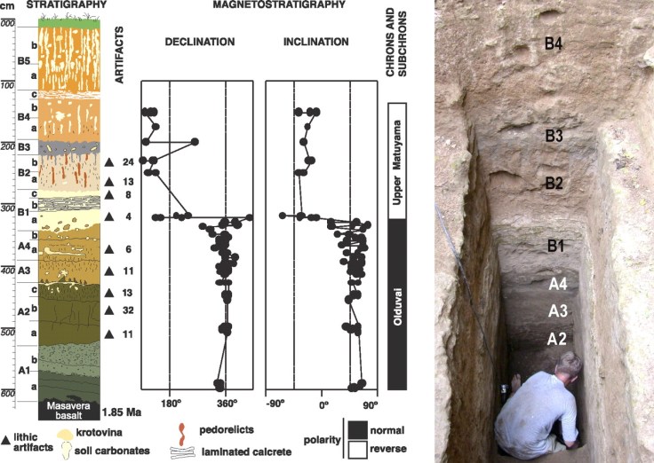 Stratigraphy and archaeological discoveries in Unit M5. The 6.2-m section shows that Dmanisi's sedimentary/geomagnetic record spans the late Olduvai subchron (stratum A) through earliest Upper Matuyama chron (stratum B). Test excavations recovered 73 stone artifacts from strata A2–A4, which are firmly dated to 1.85–1.78 Ma. 