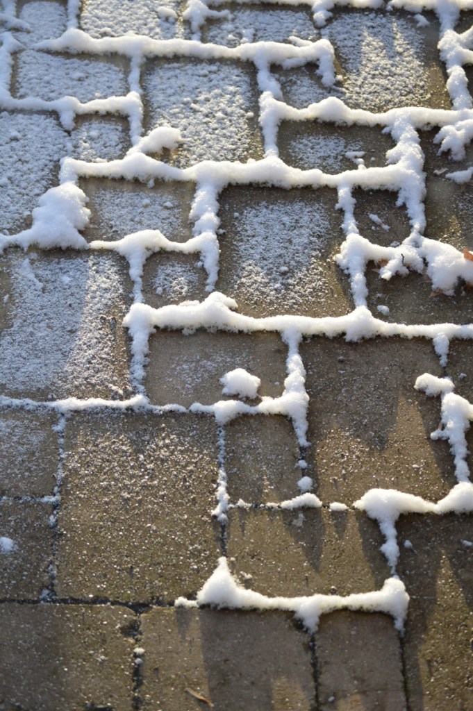 The first rays of sunlight strike snow on our patio stones.    The house is closest to the bottom of the image. Image credit: Joel Duff