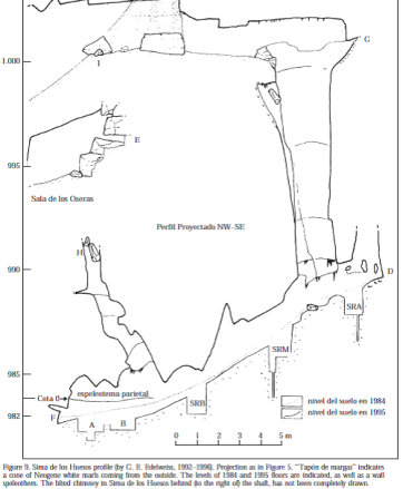 Fig. 1. Drawing of the Sima del los Huesos (the pit of bones) cave.  The vertical shaft.  The figure is from Arsuaga et al. "Sima de los Huesos (Sierra de Atapuerca, Spain), The Site"  JHE 33 (1997): 109-127.  