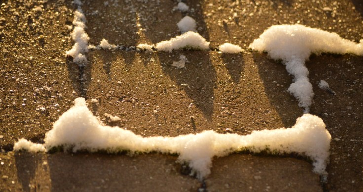Close-up of patio stone about 2 feet from our house as the first sunlight arrives on Christmas eve. Image credit: Joel Duff