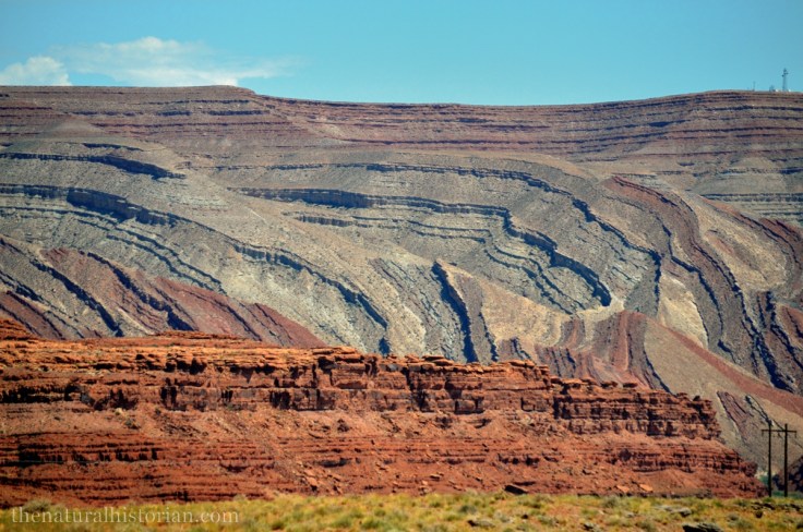 Geology from the side of the road at Mexican Hat, UT. Intersection of SR261 and US Highway 163 looking East at where the San Juan River makes it way through the Raplee Anticline. 