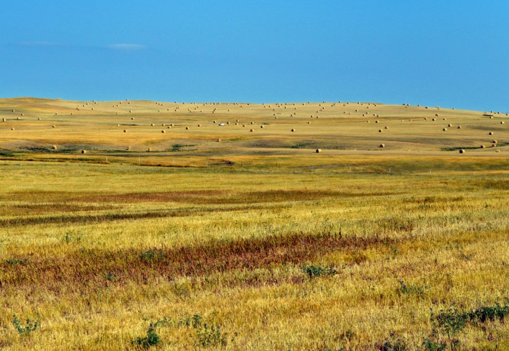 Landscape just a few miles north of Badlands National Park near Wall, SD.  