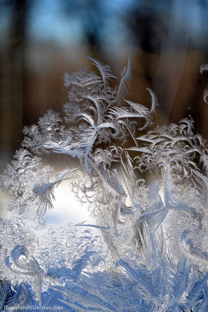 frosty-window2-800px