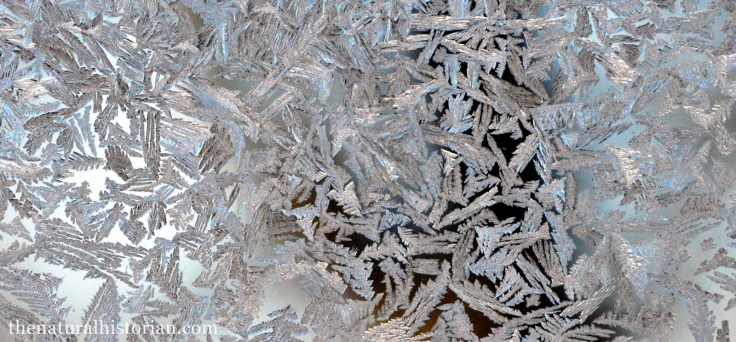 frosty-window3-1600px