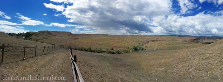 A panoramic image of my "backyard" at the edge of Orchard Mesa south of Grand Junction.