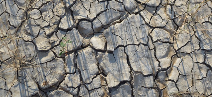 Mudcracks in Badlands National Park.  Photo: Joel Duff