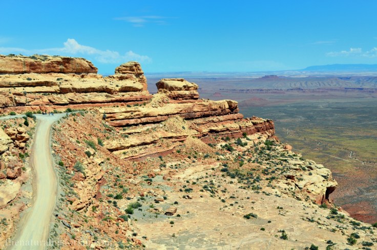 Looking back at at SR121 having just come up from Goosnecks of the San Juan Sate Park.  