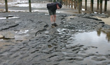 Human footprints in stone are observed during low-tide after a storm has removed the sand.  Image credit: 