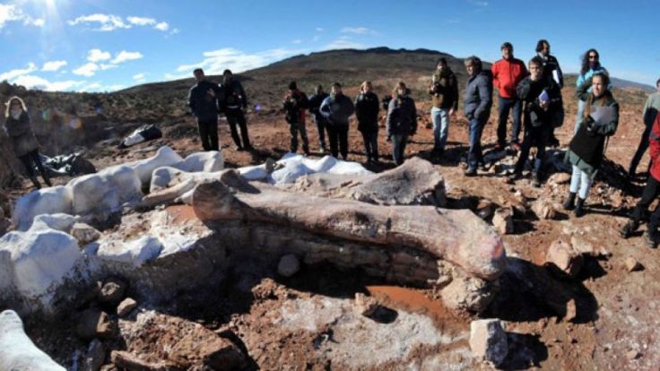 May 16, 2014: Residents and technicians look at the bones of a dinosaur at a farm in La Flecha, west of Argentina's Patagonian city of Trelew. PR photo: REUTERS/Daniel Feldman