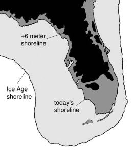 The past coastline of Florida.  Evidence of human occupation has been found in many places off of the current coast of Florida in areas that would have been above sea level 10,000 years ago. Image from: http://www.adirondackexplorer.org/book_reviews/deep-future-the-next-100000-years-of-life-on-earth
