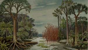 1800s lithograph (unknown source) of the flora of the Jurassic. Notice the lack of flowing plants. Most of these plant are extinct today. Also not the lack of grass which is a flowing plant but did not exist in the Jurassic.
