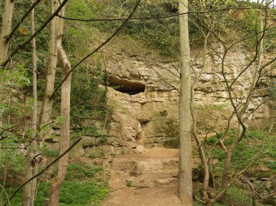 Entrance to Kirkdale cave today.  Image source: http://www.docbrown.info/docspics/helmsley/hspage15.htm