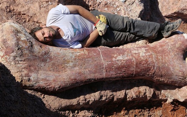 A single femur from the newly found titanosaurus. PR photo: MEF 