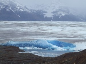 The Tyndall Glacier.  It is in the rocks exposed here that the Ichthyosaurs were found.  PR image.