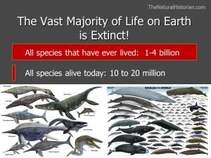 A slide from a recent presentation I made on the discovery of deep time illustrating the mind-boggling estimates of number of species that have lived on earth versus the number alive right now. The images are of extinct marine reptiles on the left and cetacean alive today on the right. Image: Joel Duff