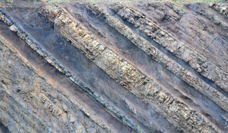 Bands of conglomerate rock, shales and coal are seen in the close-up of the Sideling Hill road cut.  Image: Joel Duff