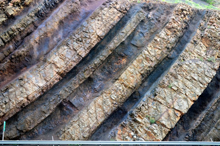 On the eastern side of the road cut you can clearly see the bending of the layers of rock layers.  The vertical lines are drill marks for setting explosives.  Image: Joel Duff