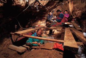 Fig. 3. The Pit of Bones excavation in progress since 1997