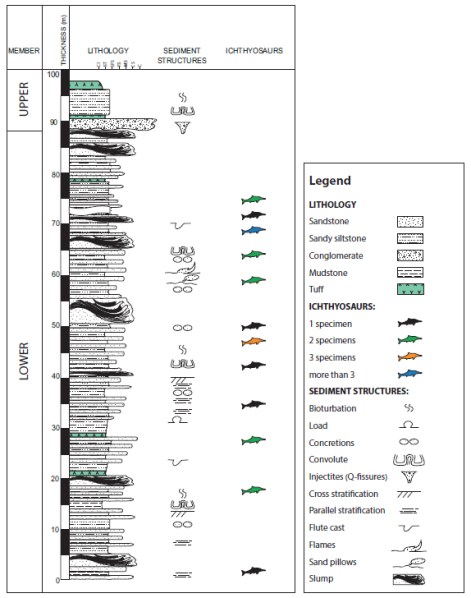 Figure 4. Section of ichthyosaur-bearing sediment unit at Tyndall ice field:  Fromhttp://dx.doi.org/10.1130/B30964.1.