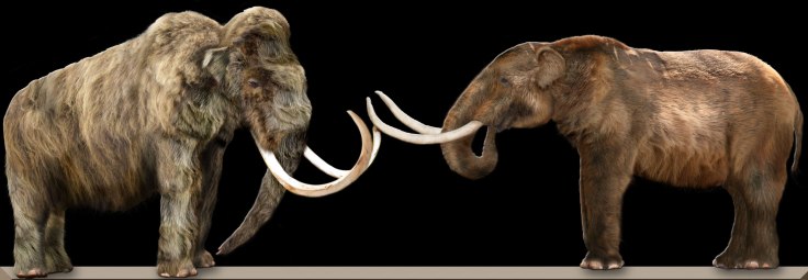 Wooly mammoth (left) and mastodon (right). Image: Wikipedia