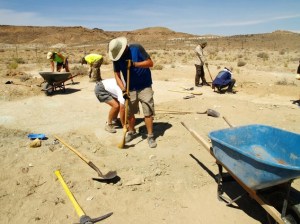 BLM employees and other volunteers sweeping away sediments to explore more tracks at this newly discovered site north of Moab UT. Image: BLM