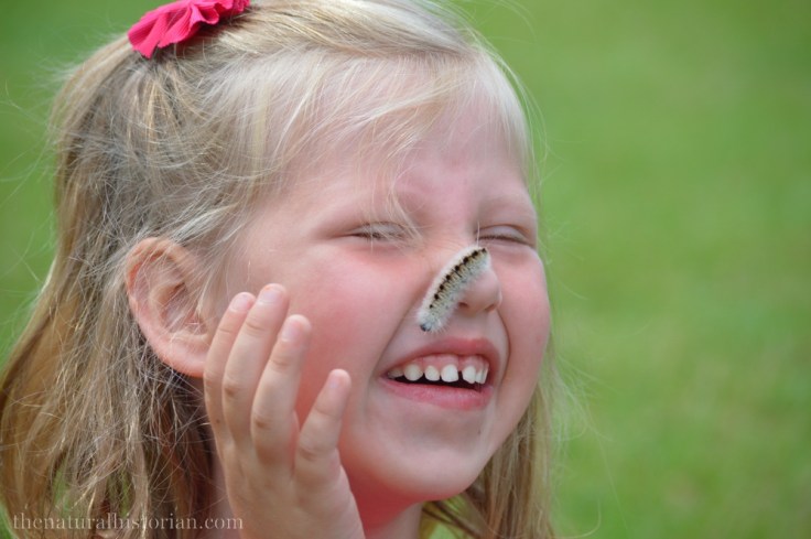 Hickory tussock moth caterpillar on my youngest daughters nose. I took this picture last year but it is one of my favorites.