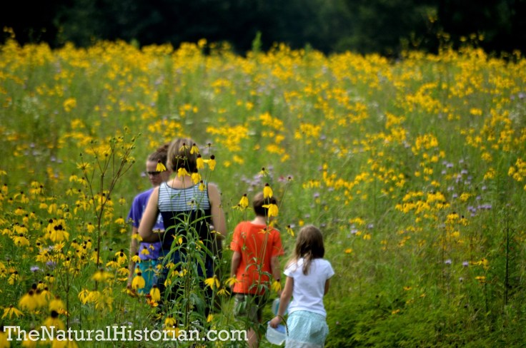 Some of the family at the Springfield Bog Metro Park in Summit County OH.