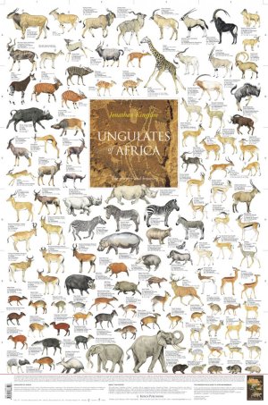 All of the living African ungulates.  At some point in the past South America probably had as many species alive at one time.