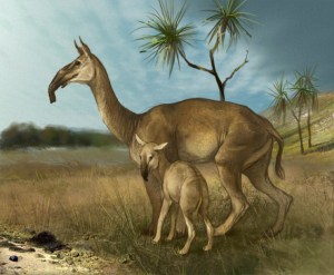 Wikipedia Macrauchenia a South American fossil ungulate.  