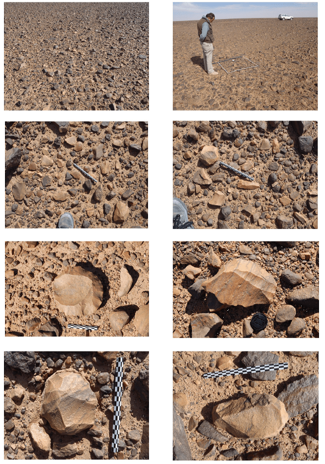 Figure C of the supplemental material from ????? PLOSone