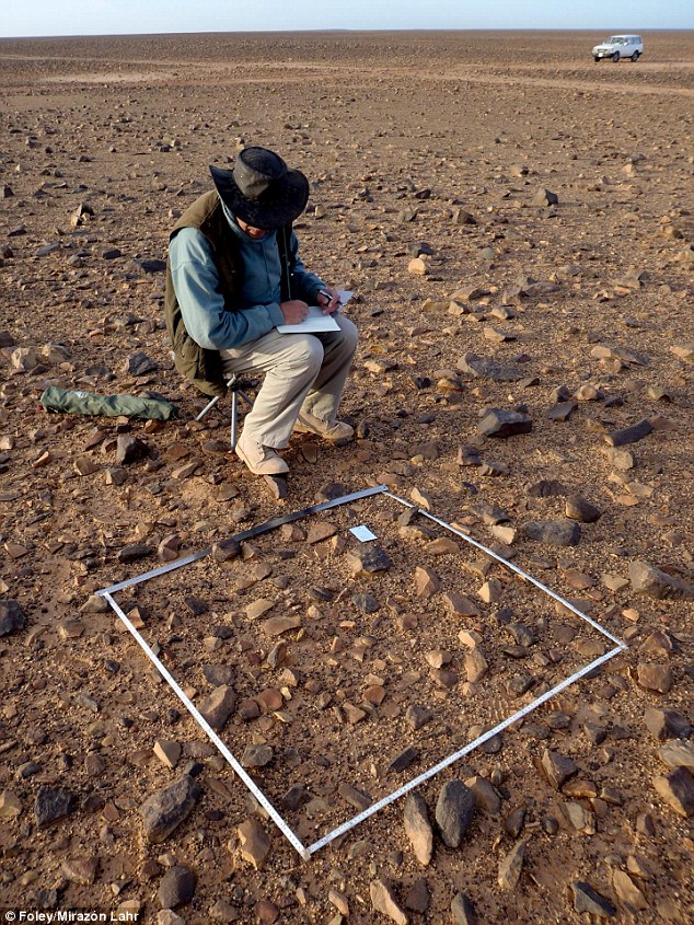 A researcher is recording artifacts from a one meter square plot in the Libya Sahara desert.