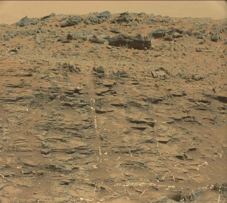 0950ML0041760060403285E01_DXXX