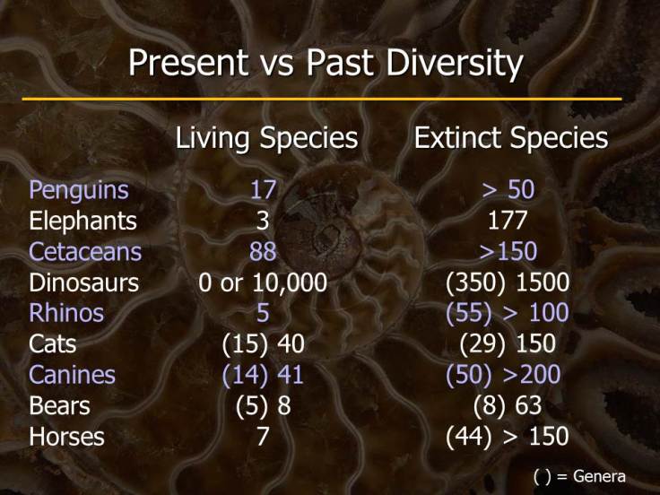 Present-vs-Past-Diversity-comparied