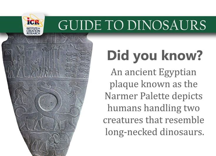 An image that ICR has used on the Facebook page and website. This is a part of a running ad for their recently published book: Guide to the Dinosaurs. 