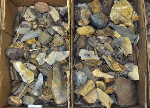 A sample of some of the stone artifacts collected at Kathu Pan. 