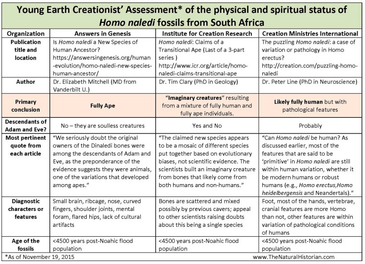 Homo-naledi-fossils-YEC-scorecard